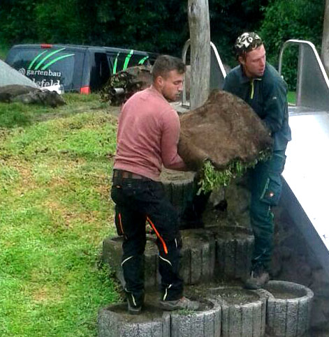 gründachflor als Fallschutz auf dem Spielplatz